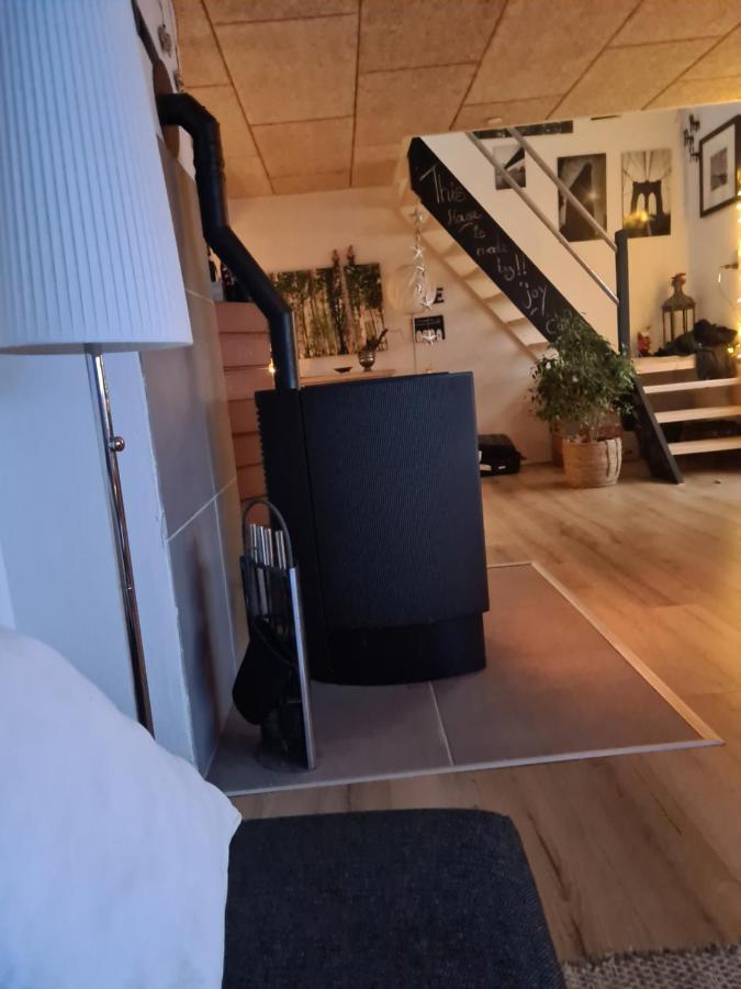 Marsvinslund Bed And Breakfast Viborg Exterior foto