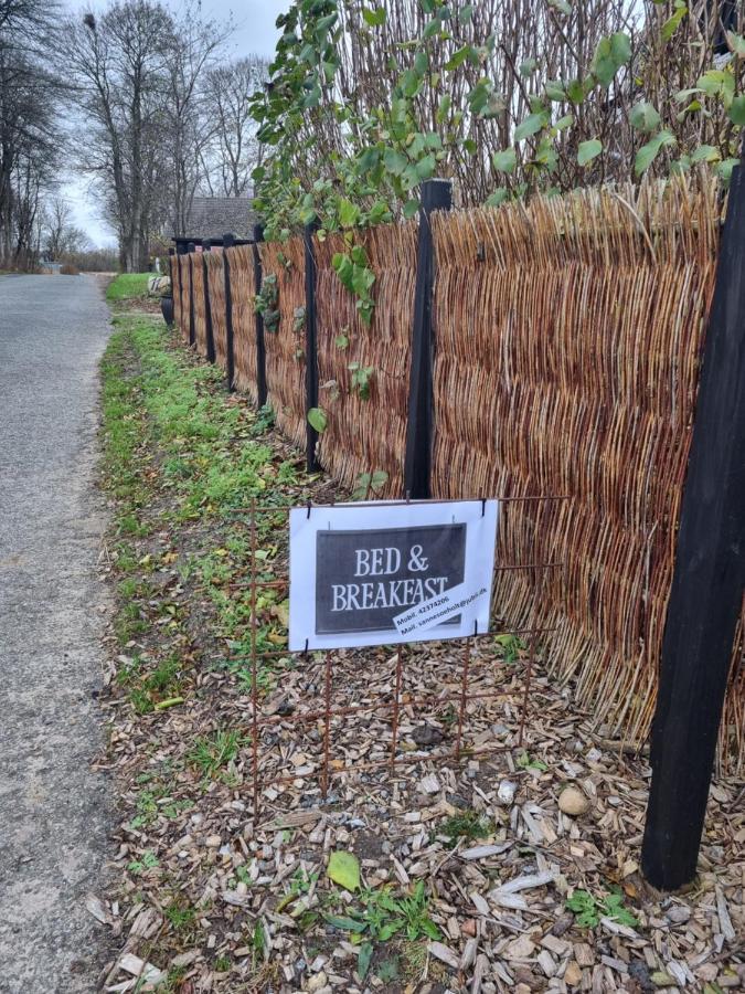 Marsvinslund Bed And Breakfast Viborg Exterior foto